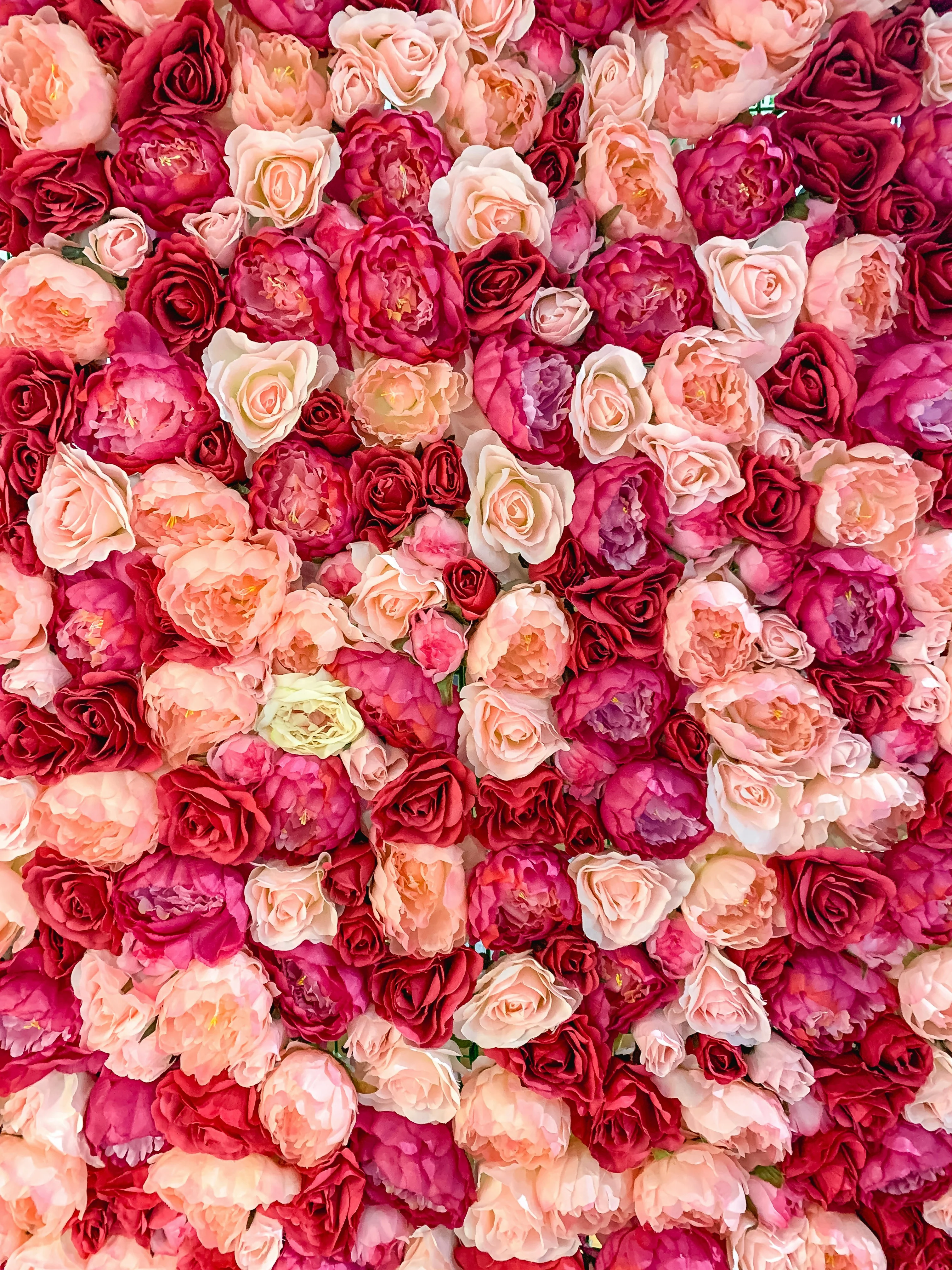 Ignite Your Inner Radiance